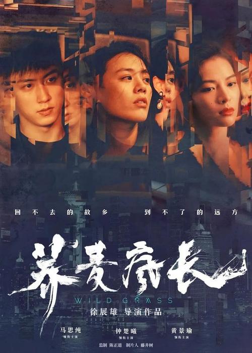 圣十字学院市场开发文凭证书